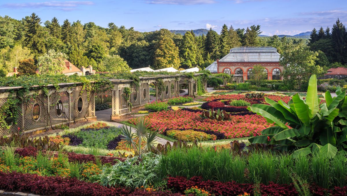 biltmore-estate-gardens-pictures-fasci-garden